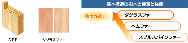 ���ܹ�¤�μ��ڤμ���ȶ���