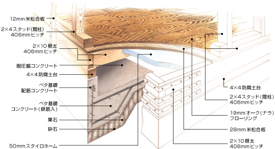 S.P.F����ͤι侲����