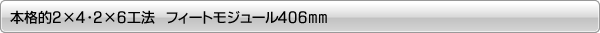 �ܳ�Ū2x4��2x6��ˡ���ե����ȥ⥸�塼��406mm